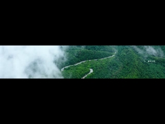 Köln Şirket Gelişim